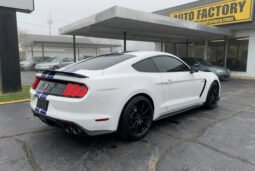 
										2017 Ford Mustang Shelby GT350R full									