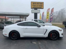 
										2017 Ford Mustang Shelby GT350R full									
