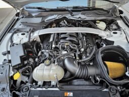 
										2017 Ford Mustang Shelby GT350R full									