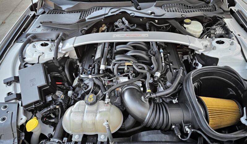 
								2017 Ford Mustang Shelby GT350R full									