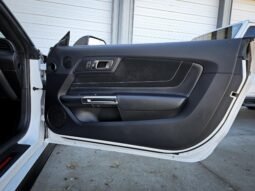 
										2017 Ford Mustang Shelby GT350R full									